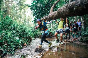 BIB: 
                            <button type="button" onclick="openModal(25370136)" class="btn btn-primary btn-sm float-right btn-popup" data-toggle="modal" data-target=".modal-high-quality">
                        <i class="fas fa-shopping-cart"></i> Add to Cart
                    </button>
                                            <button type="button" onclick="isThisMe(25370136, true)" class="btn btn-success btn-sm float-right btn-popup btn-isme hidden" data-toggle="tooltip" data-placement="bottom" title="นี่คือรูปของคุณใช่ไหม คลิกที่นี่เพื่อเอาเข้าอัลบั้ม">
                        <i class="fas fa-plus"></i> Add to album
                    </button>
                    <button type="button" onclick="isThisMe(25370136, false)" class="btn btn-warning btn-sm float-right btn-popup btn-isnotme hidden">
                        <i class="fas fa-ban"></i> Remove from album
                    </button>